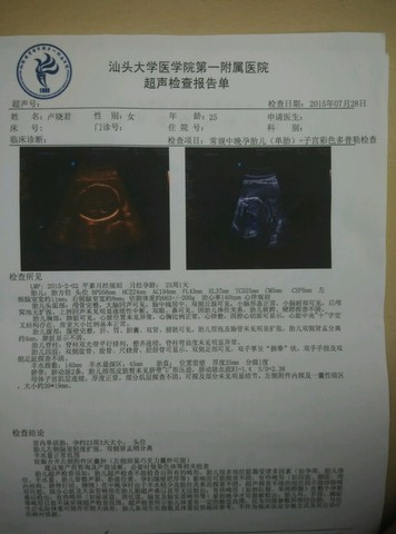 journal_insert_pic_278550832