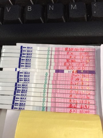 journal_insert_pic_279293918