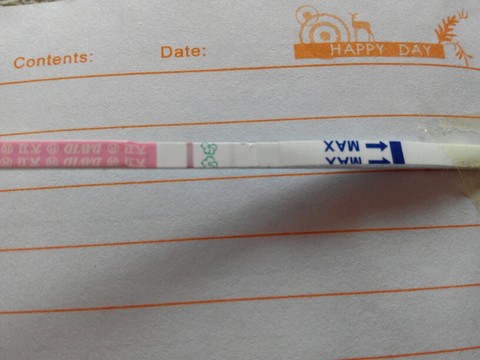 journal_insert_pic_279327811