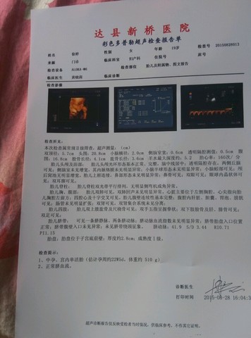 journal_insert_pic_281166188