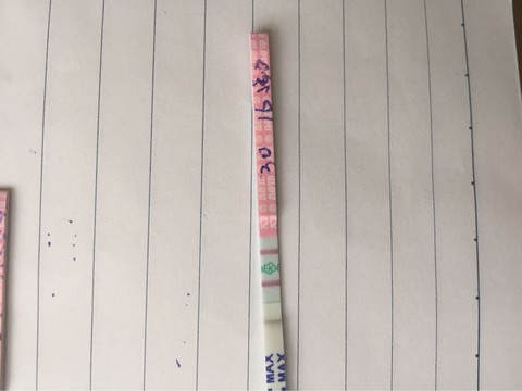 journal_insert_pic_282933701