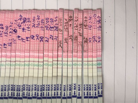 journal_insert_pic_282933684
