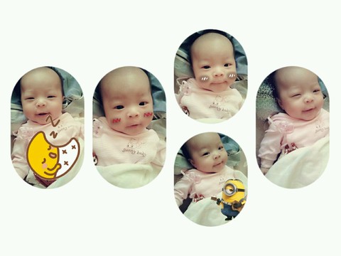 journal_insert_pic_286527344