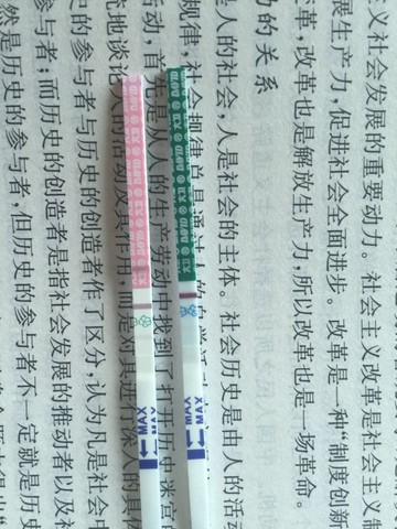 journal_insert_pic_288204865