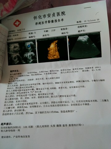 journal_insert_pic_289209022