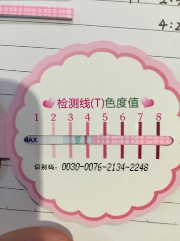 journal_insert_pic_289723257