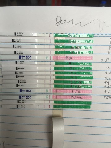 journal_insert_pic_289831798
