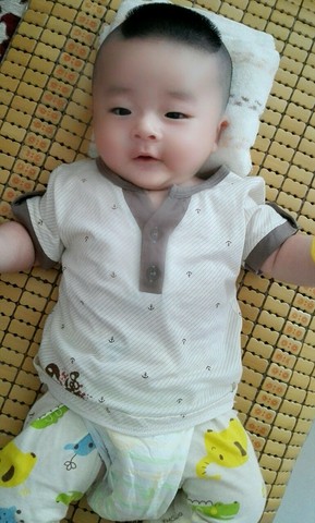 journal_insert_pic_291055438