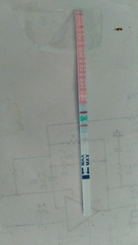 journal_insert_pic_290941222