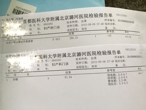 journal_insert_pic_291706483
