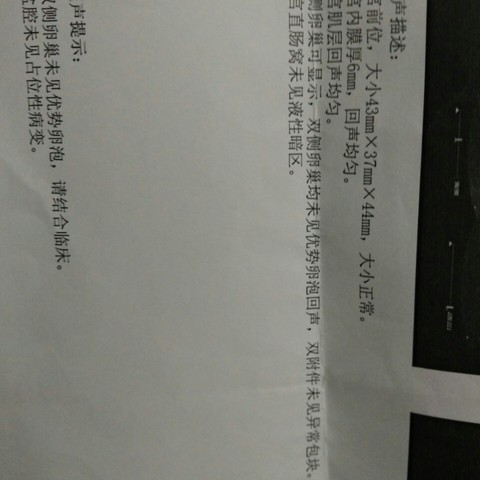 journal_insert_pic_291255117