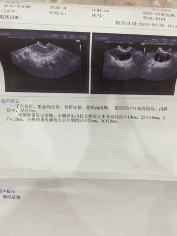 journal_insert_pic_292626455