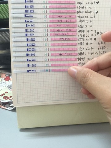 journal_insert_pic_293201492