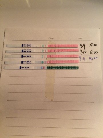 journal_insert_pic_293420708