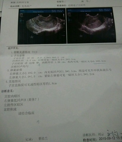 journal_insert_pic_294184830