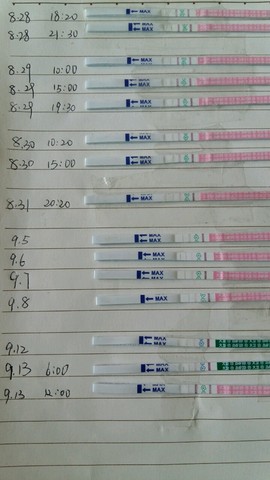 journal_insert_pic_294661548