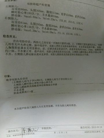 journal_insert_pic_295314959