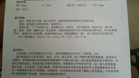 journal_insert_pic_295404619