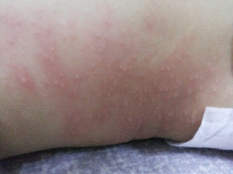 journal_insert_pic_297341624