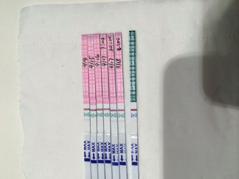 journal_insert_pic_298499164