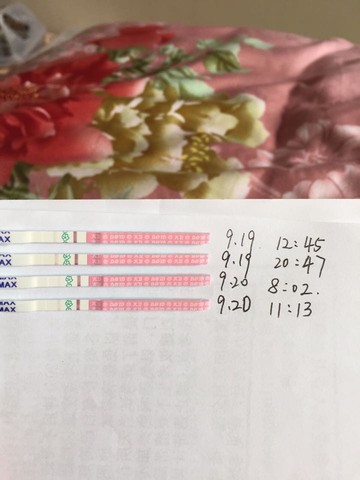 journal_insert_pic_300125554