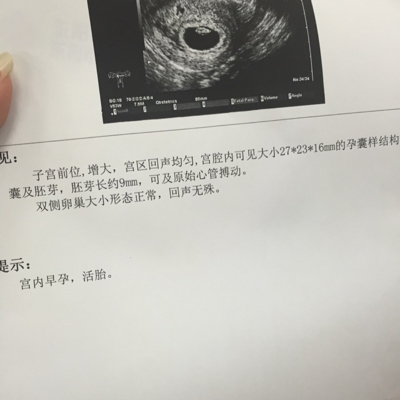 怀孕7周 2天 请问我的孕囊大小和胎芽长度正常吗 宝宝树