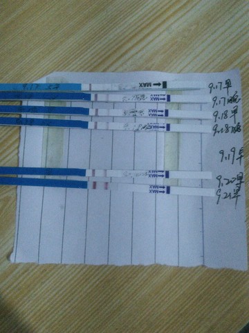 journal_insert_pic_301004672