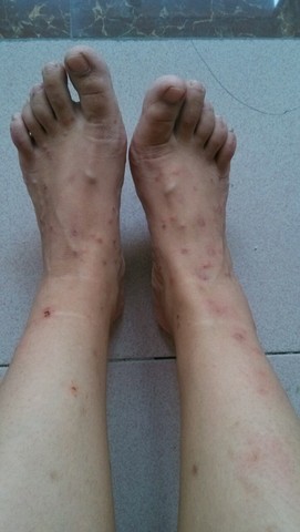 journal_insert_pic_302538891