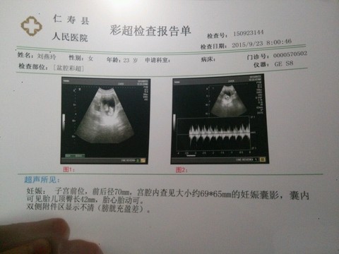 journal_insert_pic_302607395