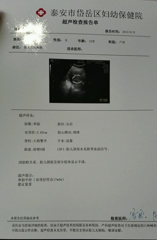 journal_insert_pic_303223825