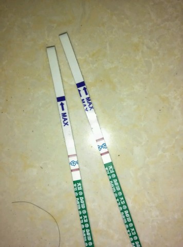 journal_insert_pic_303429902