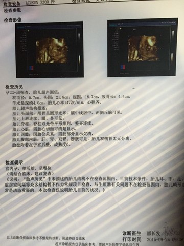 journal_insert_pic_305573350
