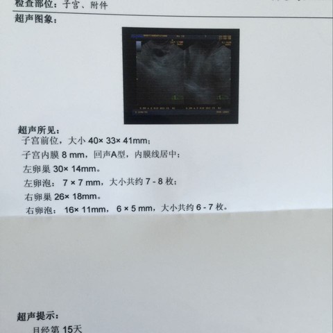 journal_insert_pic_305830609