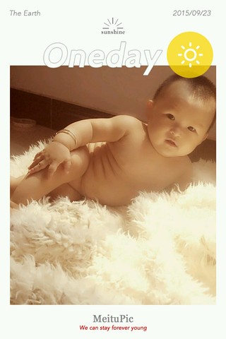 journal_insert_pic_306151715