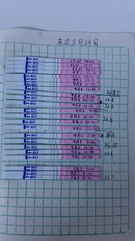 journal_insert_pic_306672473