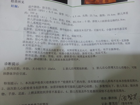journal_insert_pic_307209469