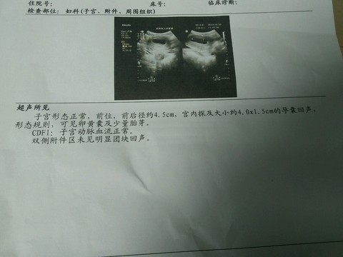 journal_insert_pic_307396463