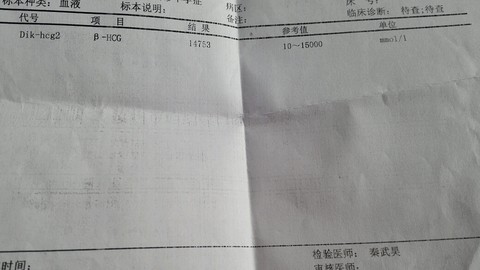 journal_insert_pic_307939229