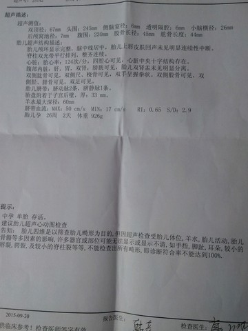 journal_insert_pic_307900262