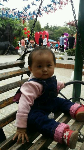 journal_insert_pic_308754457