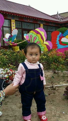 journal_insert_pic_308754836