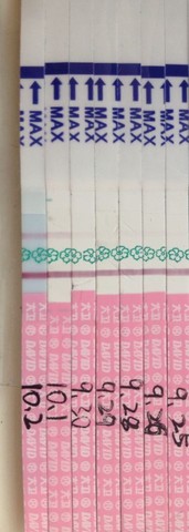 journal_insert_pic_308297762