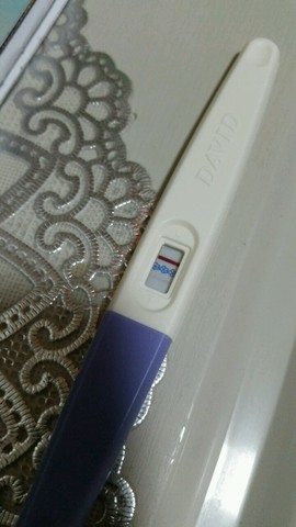 journal_insert_pic_309699544