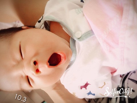 journal_insert_pic_309617632