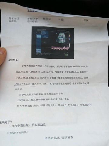 journal_insert_pic_311328253