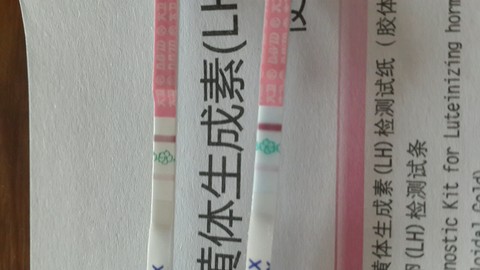 journal_insert_pic_311014955
