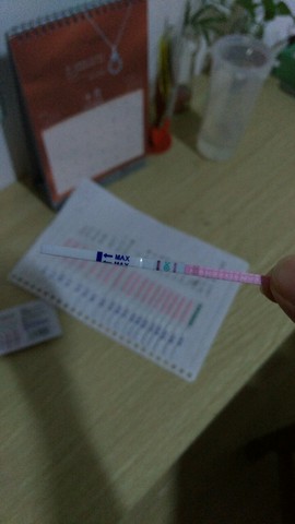 journal_insert_pic_310861562