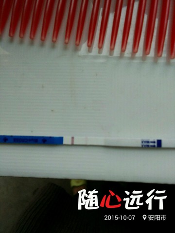 journal_insert_pic_312044195