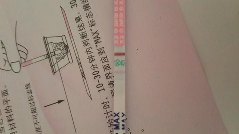 journal_insert_pic_312491649