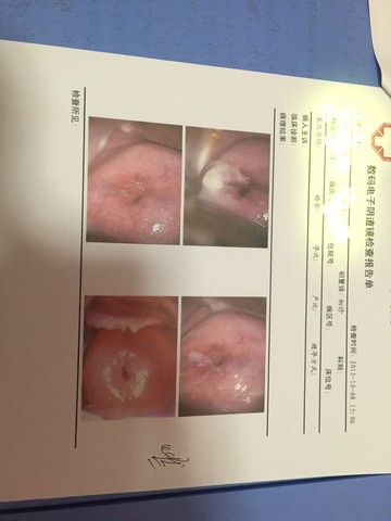 journal_insert_pic_312884780